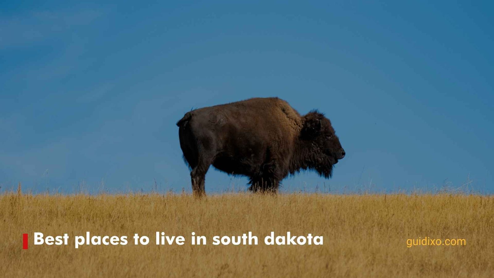 15 + Best Places to Live in South Dakota in 2026: Top Cities & Towns