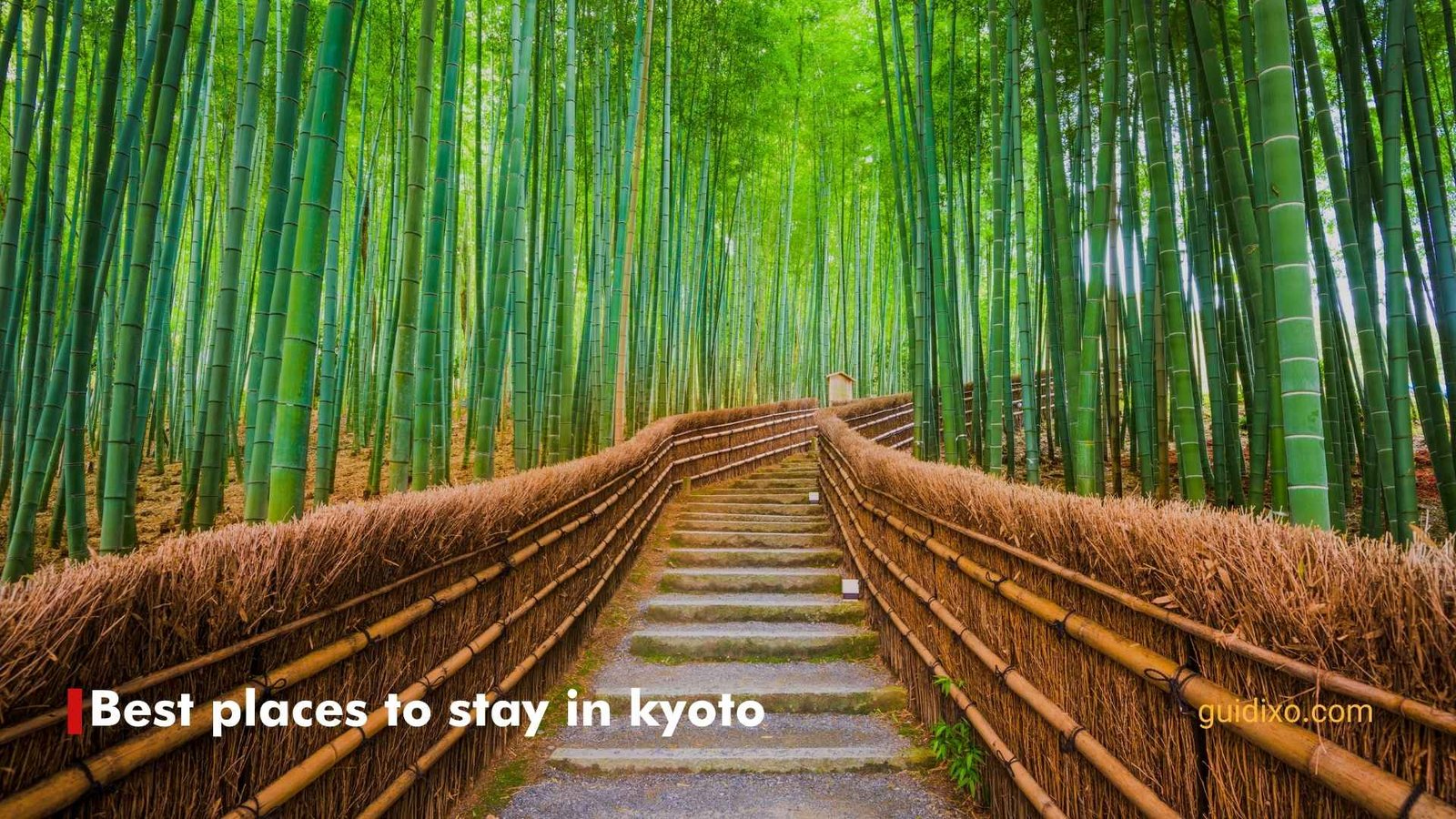 15 + Best Places to Stay in Kyoto: Top Areas, Hotels & Local Tips